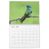 Kingfisher 2025 kalender (Mär 2027)