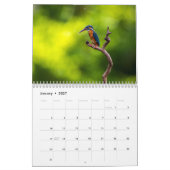 Kingfisher 2025 kalender (Jan 2027)