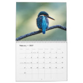 Kingfisher 2025 kalender (Feb 2027)