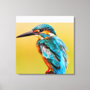 Kingfisher bei Dawn Canvas Print Leinwanddruck
