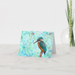 Kingfisher Bird Blue Abstrakt