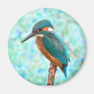 Kingfisher Bird Blue Abstrakt Magnet