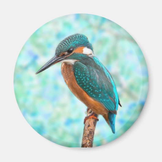 Kingfisher Bird Blue Abstrakt Magnet (Vorne)
