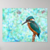Kingfisher Bird Blue Abstrakt Poster (Vorne)