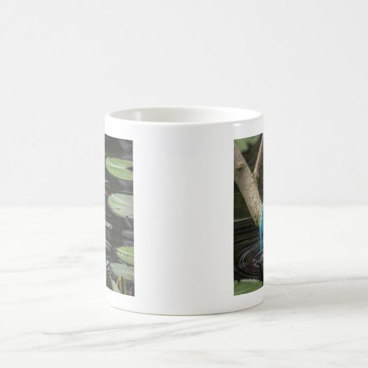 Kingfisher Bird Kaffeetasse (Mittel)