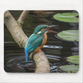 Kingfisher Bird Mousepad (Vorne)