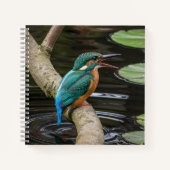 Kingfisher Bird Notizblock (Vorderseite)