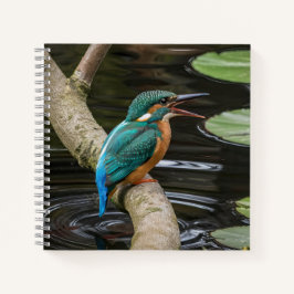 Kingfisher Bird Notizblock