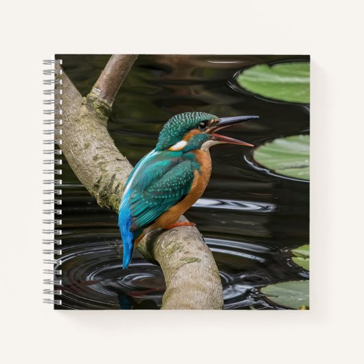 Kingfisher Bird Notizblock (Vorderseite)
