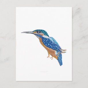 KingFisher Bird Postkarte
