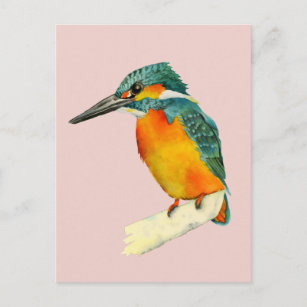 Kingfisher Bird Wasserfarbenmalerei Postkarte