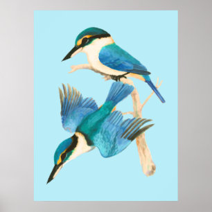 Kingfisher Birds Blauer Watercolor Poster