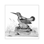 Kingfisher Birds Scrapbooking Gummistempel (Prägung)