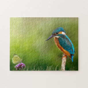 Kingfisher Butterfly Nature Blume Bird Perched Puzzle