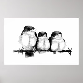Kingfisher Chicks Poster
