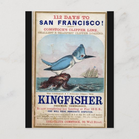 Kingfisher Clipper Segelschiff 1855 Postkarte (Vorderseite)