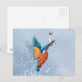 Kingfisher, der aus dem Wasser fliegt Postkarte (Vorne/Hinten)