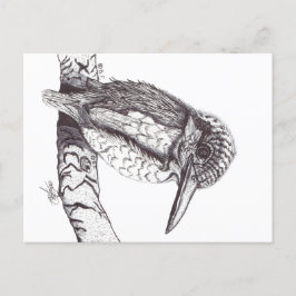 KINGFISHER FEIERTAGSPOSTKARTE