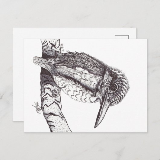 KINGFISHER FEIERTAGSPOSTKARTE (Vorne/Hinten)