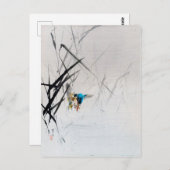 Kingfisher Fisch unter Roten, Seitei Postkarte (Vorne/Hinten)