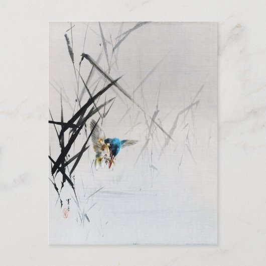 Kingfisher Fisch unter Roten, Seitei Postkarte (Vorderseite)