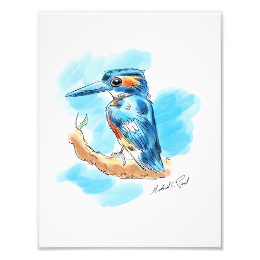 Kingfisher Fotodruck (Vorne)