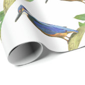 Kingfisher Geschenkpapier (Rolleneckpunkt)