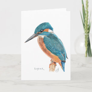 Kingfisher Greeting Card Karte