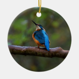 Kingfisher in Zweigniederlassung Keramik Ornament