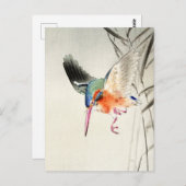 Kingfisher Jagd (vergrößert) - Ohara Koson - Postkarte (Vorne/Hinten)