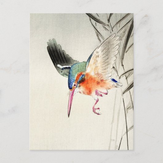 Kingfisher Jagd (vergrößert) - Ohara Koson - Postkarte (Vorderseite)