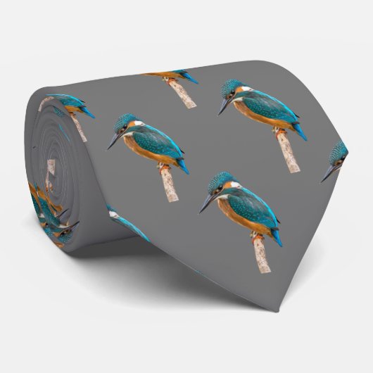 Kingfisher Krawatte (Gerollt)