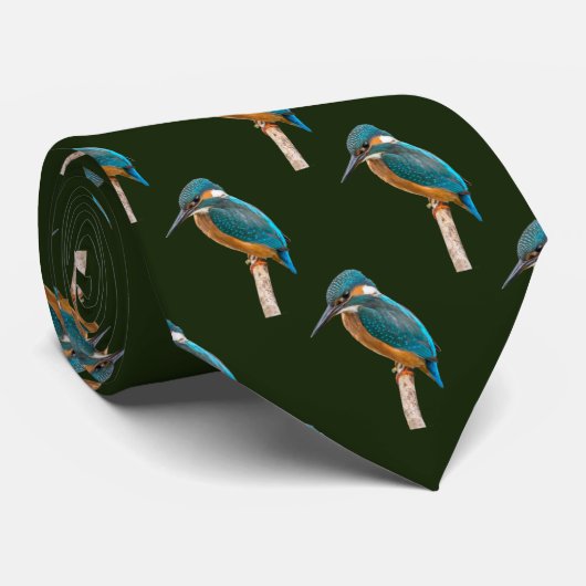 Kingfisher Krawatte (Gerollt)