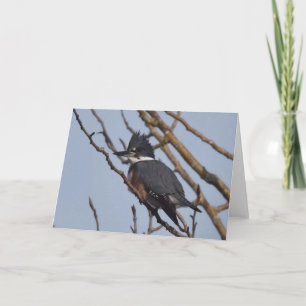 Kingfisher - Kunstausweis Karte