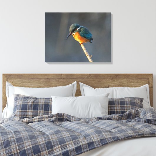 Kingfisher Leinwanddruck (Insitu (Schlafzimmer))