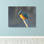 Kingfisher Leinwanddruck (Insitu (Holzboden))