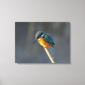 Kingfisher Leinwanddruck (Vorderseite)