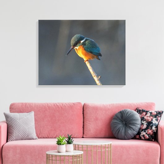 Kingfisher Leinwanddruck (Insitu (Wohnzimmer))