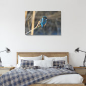 Kingfisher Leinwanddruck (Insitu (Schlafzimmer))