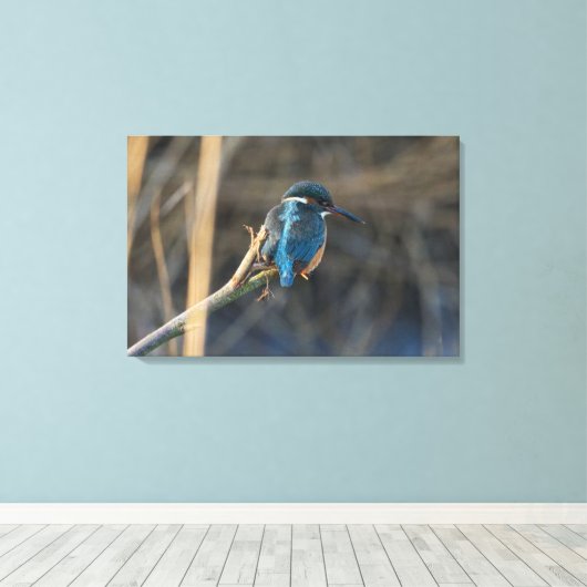 Kingfisher Leinwanddruck (Insitu (Holzboden))