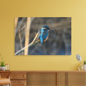 Kingfisher Leinwanddruck (Insitu (Wohnzimmer))