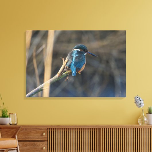 Kingfisher Leinwanddruck (Insitu (Wohnzimmer))