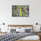 Kingfisher Leinwanddruck (Insitu (Schlafzimmer))