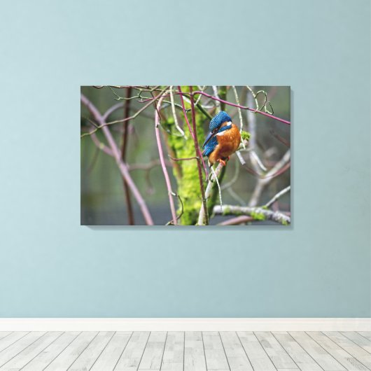 Kingfisher Leinwanddruck (Insitu (Holzboden))
