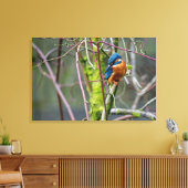 Kingfisher Leinwanddruck (Insitu (Wohnzimmer))
