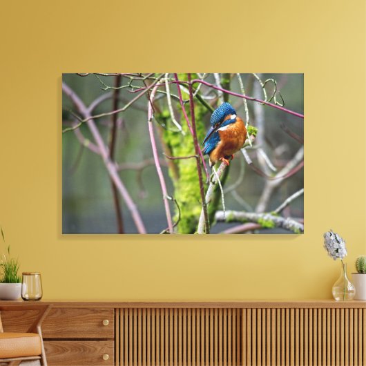 Kingfisher Leinwanddruck (Insitu (Wohnzimmer))