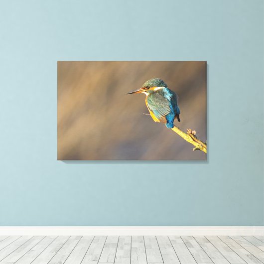 Kingfisher Leinwanddruck (Insitu (Holzboden))