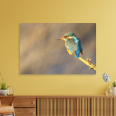 Kingfisher Leinwanddruck (Insitu (Wohnzimmer))