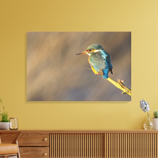 Kingfisher Leinwanddruck (Insitu (Wohnzimmer))