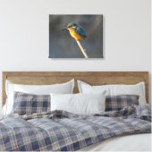 Kingfisher Leinwanddruck (Insitu (Schlafzimmer))